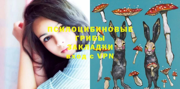 МДПВ Балахна