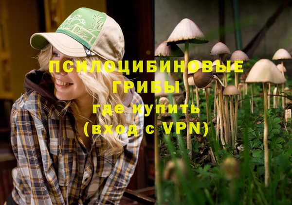 ECSTASY Баксан